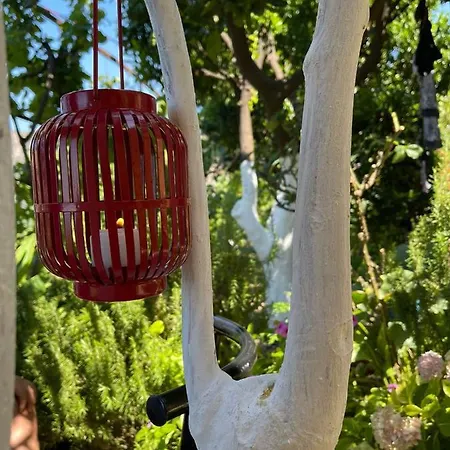 Ona's House بورش