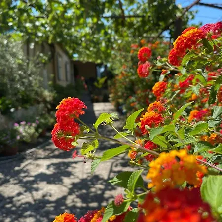 Ona's House * بورش