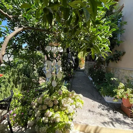 Ona's House