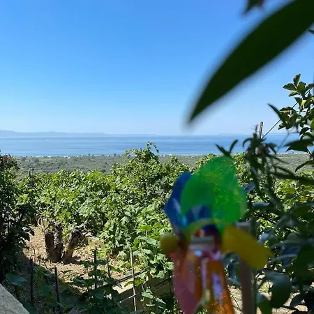 Ona's House بيت للعطل