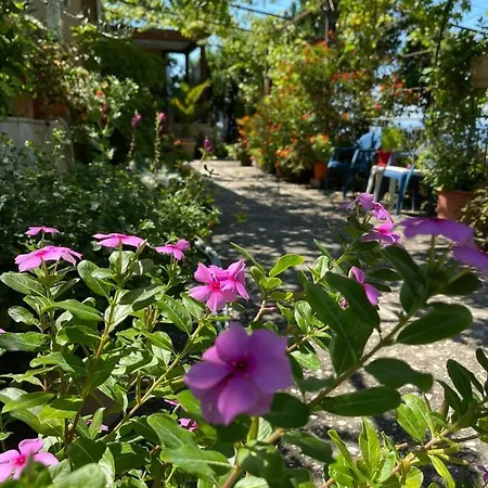 Ona's House Ferienhaus *