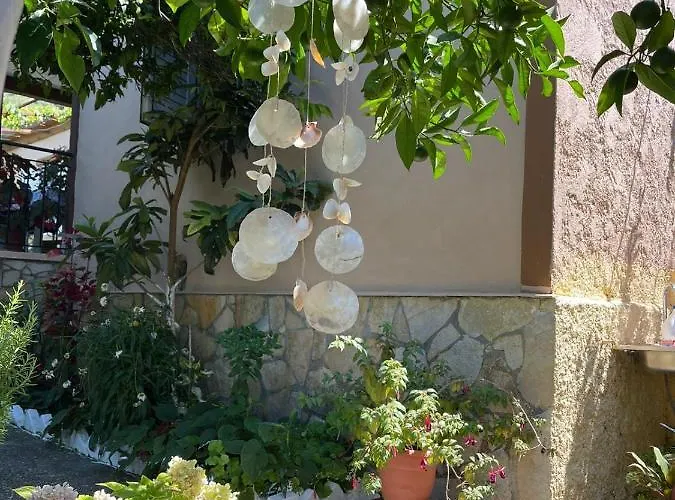 Tatil Evi Ona's House Borş