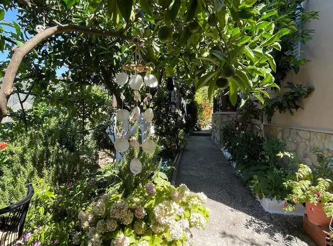 Ona's House