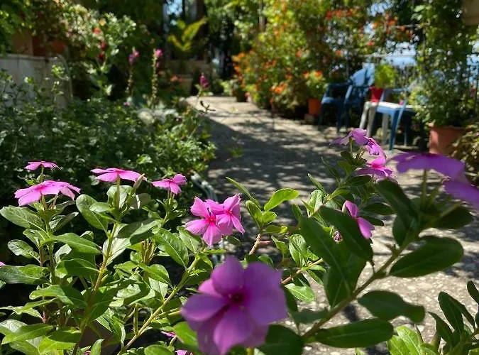 Ona's House Tatil Evi *